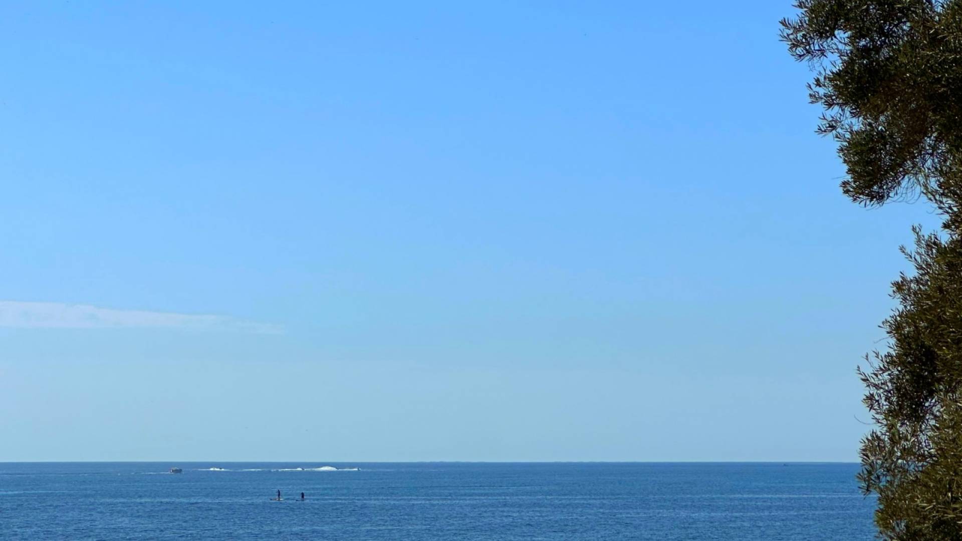 Tweedehands - Appartement - Torrevieja
