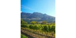 Tweedehands - Commercieel van Locaux - Jumilla