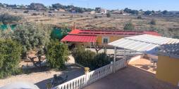 Tweedehands - Finca Landgoed - Alicante - Moralet - Cañada del Fenollar