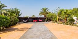 Tweedehands - Finca Landgoed - Almoradi - Almoradí