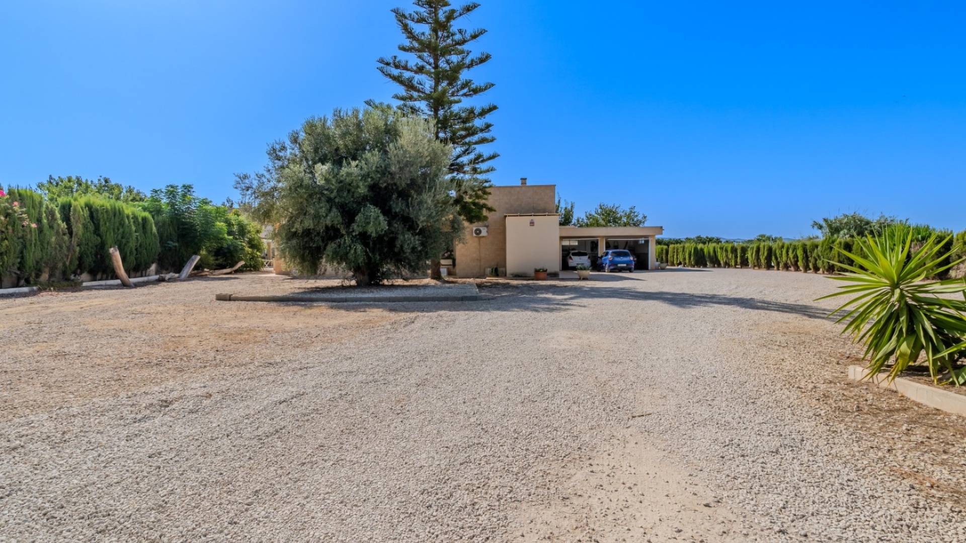 Tweedehands - Finca Landgoed - Almoradi - Almoradí