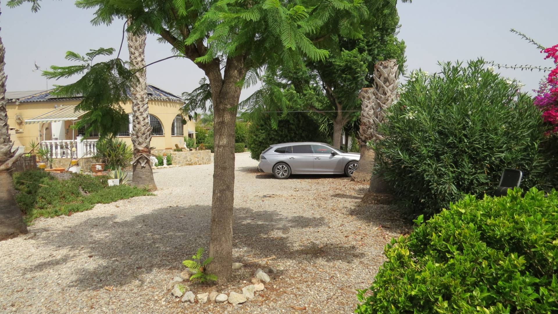 Tweedehands - Finca Landgoed - Dolores