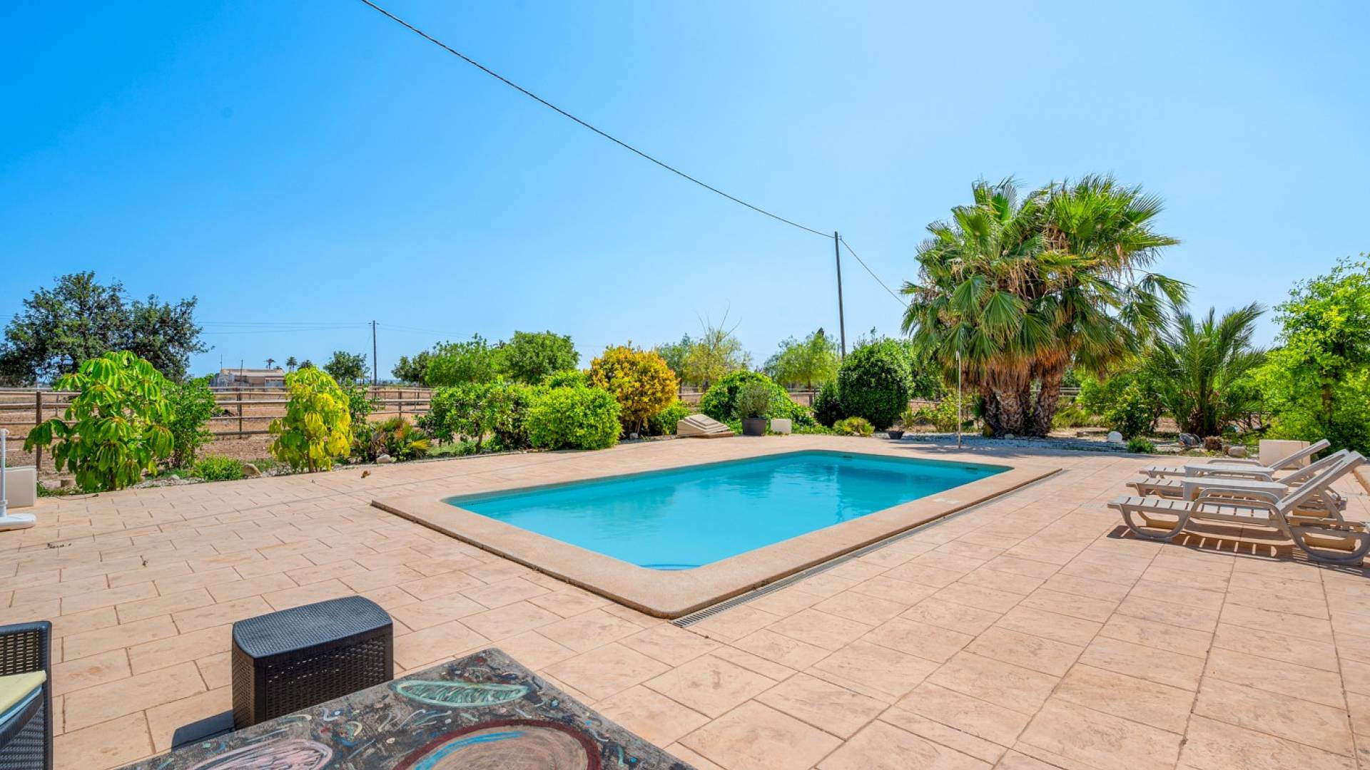 Tweedehands - Finca Landgoed - Elche - Las Bayas