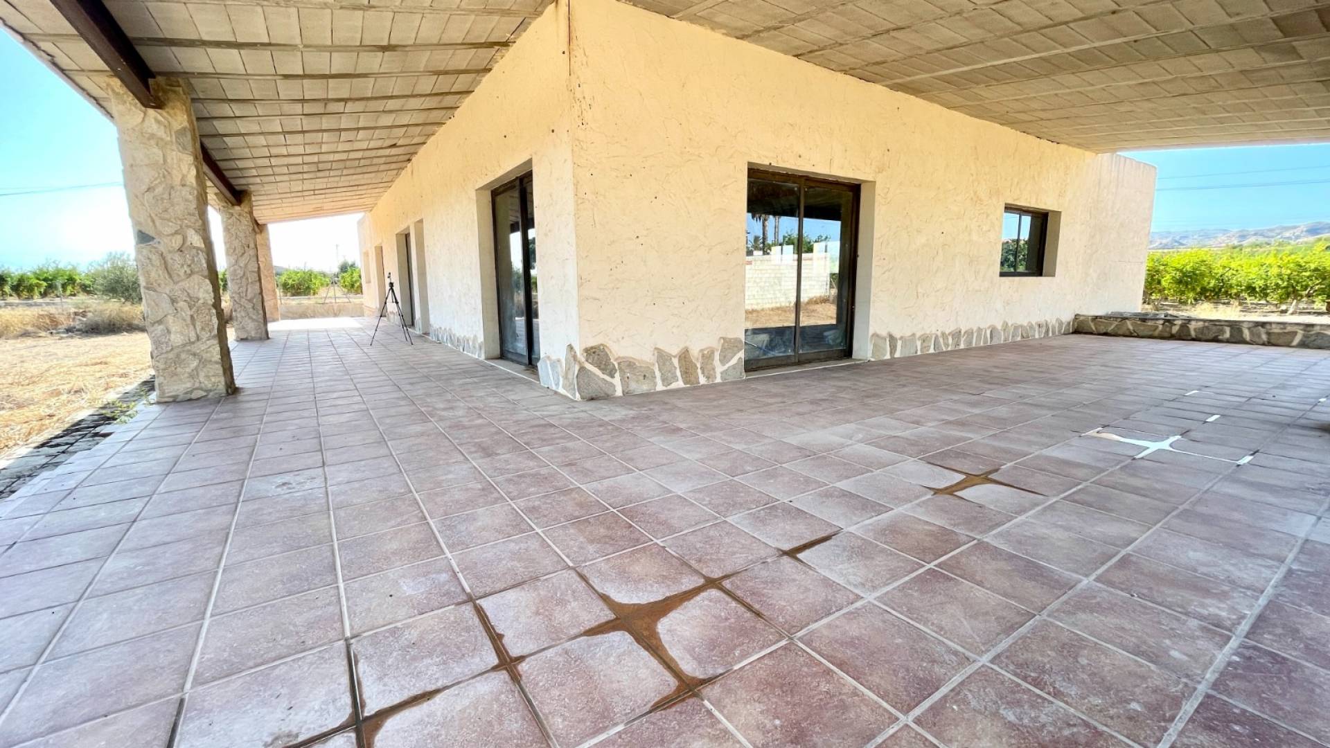 Tweedehands - Finca Landgoed - Elche - Matola