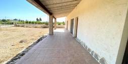 Tweedehands - Finca Landgoed - Elche - Matola