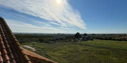 Tweedehands - Finca Landgoed - Guardamar del Segura