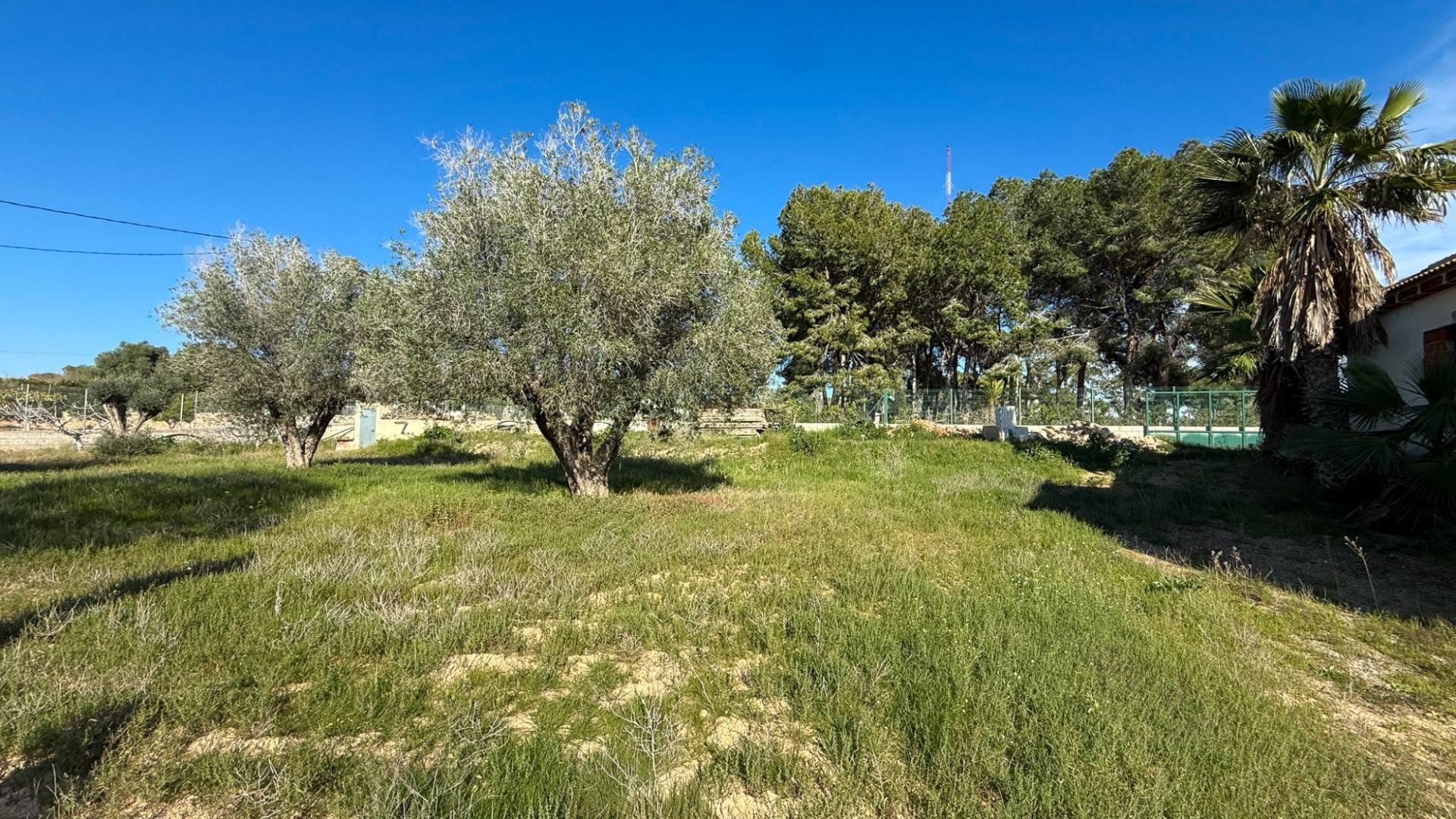 Tweedehands - Finca Landgoed - Guardamar del Segura