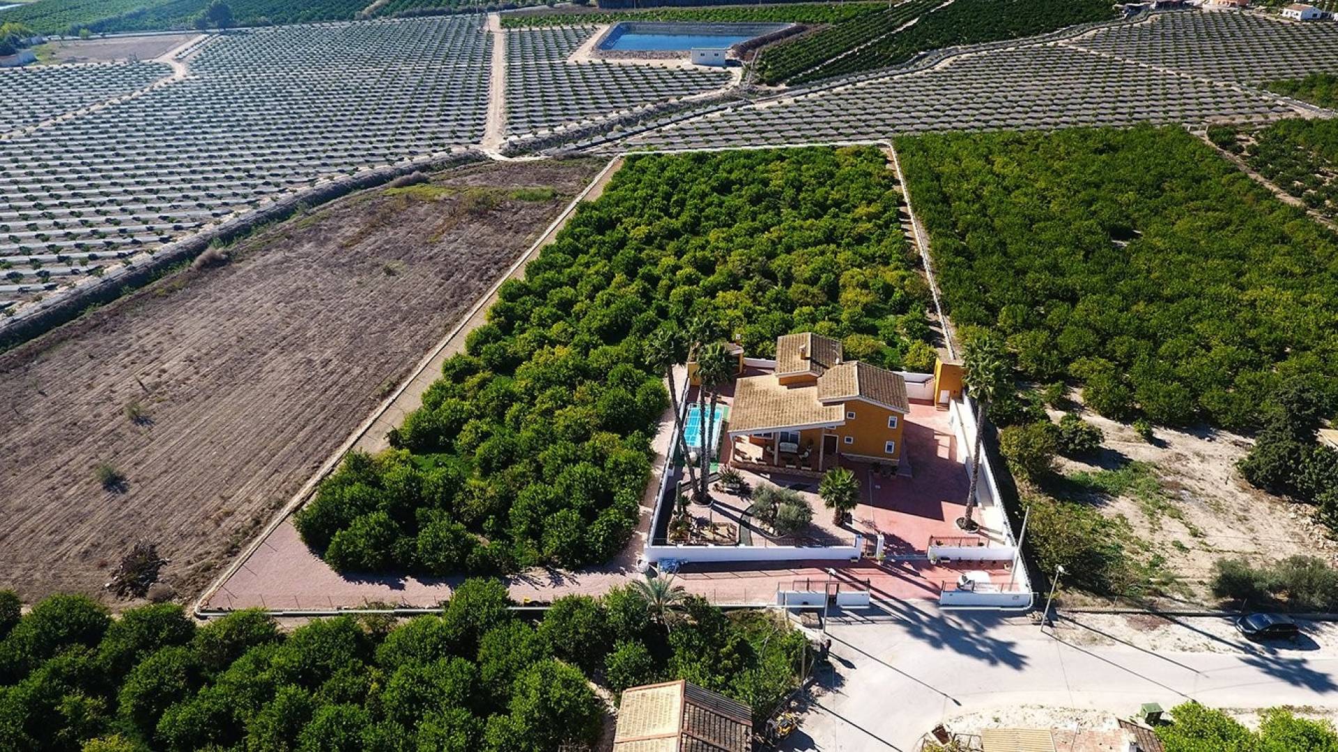 Tweedehands - Finca Landgoed - Orihuela