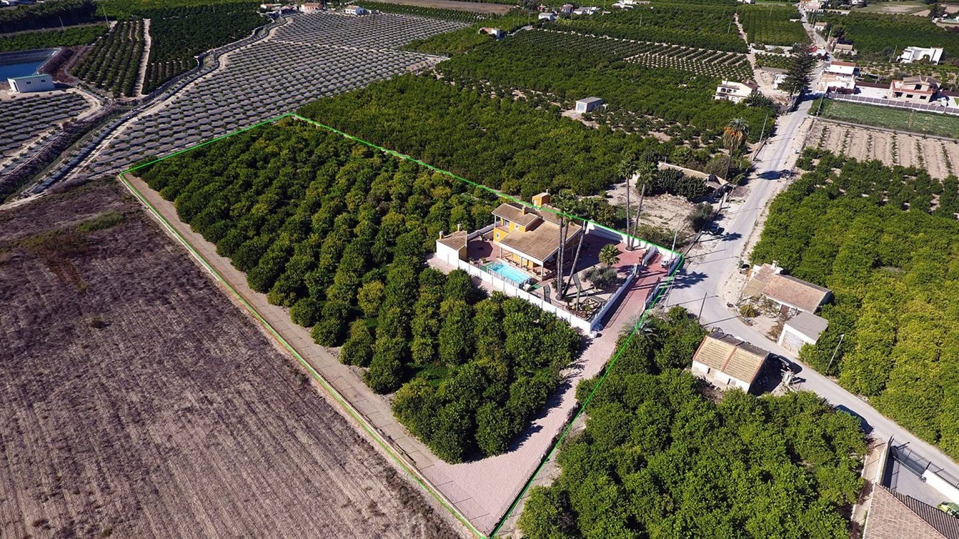 Tweedehands - Finca Landgoed - Orihuela