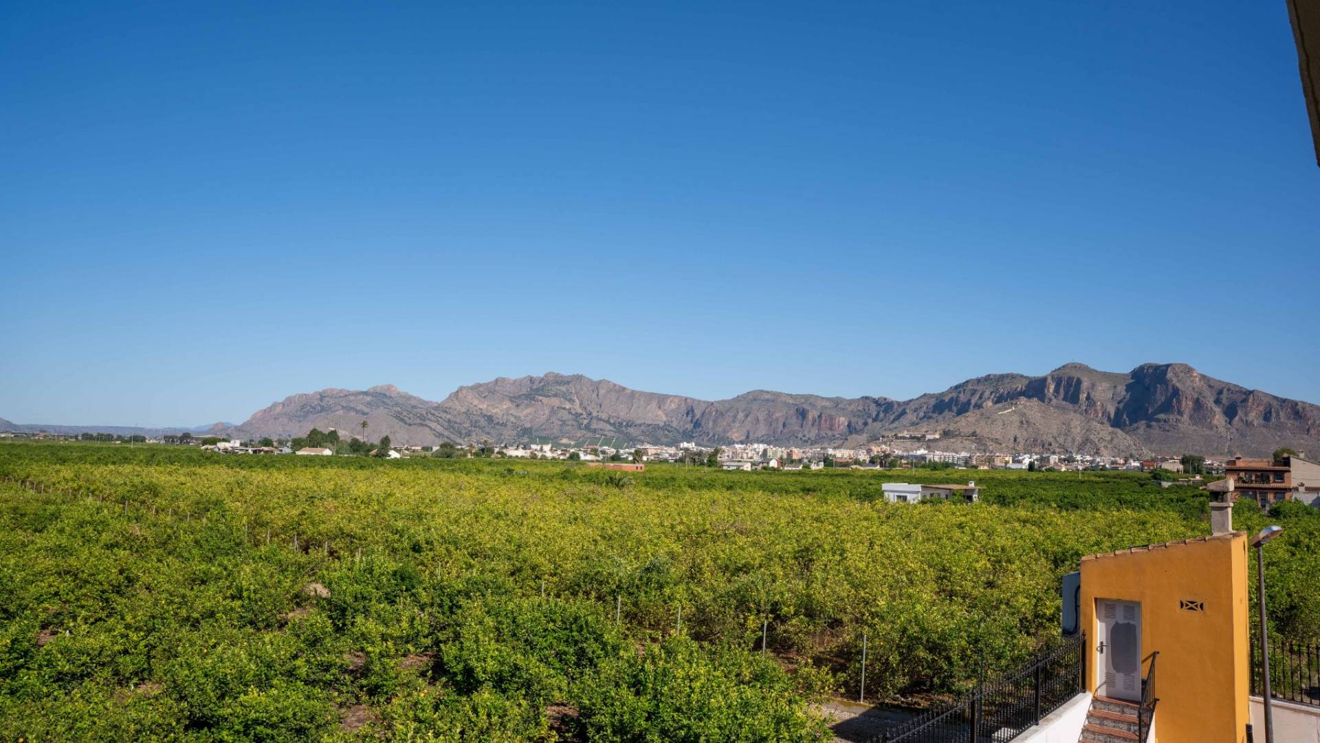 Tweedehands - Finca Landgoed - Orihuela