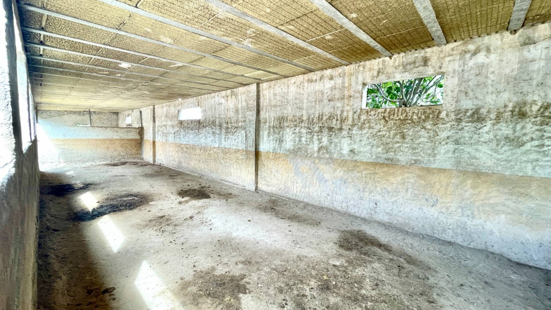 Tweedehands - Finca Landgoed - Orihuela