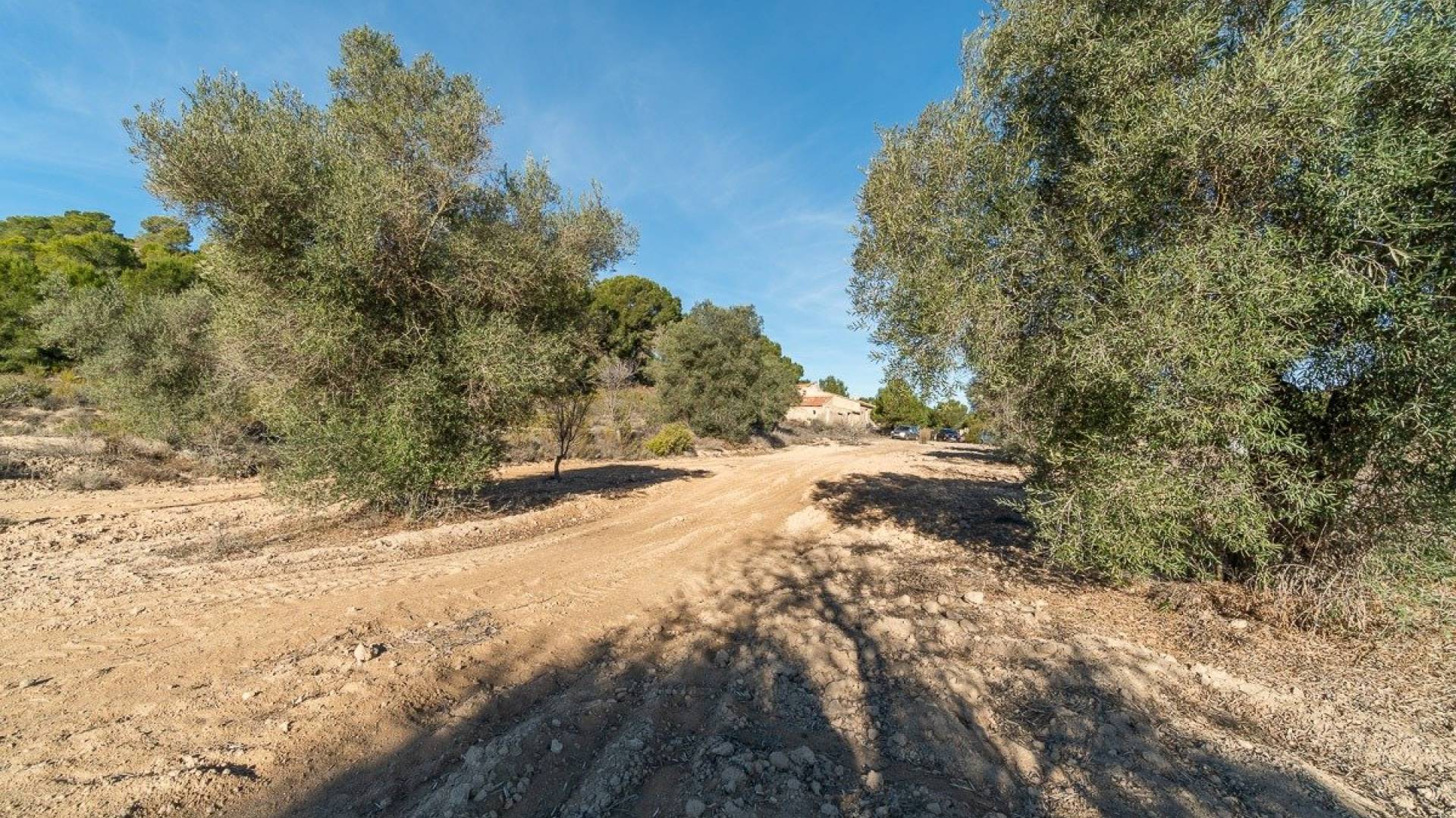 Tweedehands - Finca Landgoed - Pilar de la Horadada - Pinar de la Perdiz