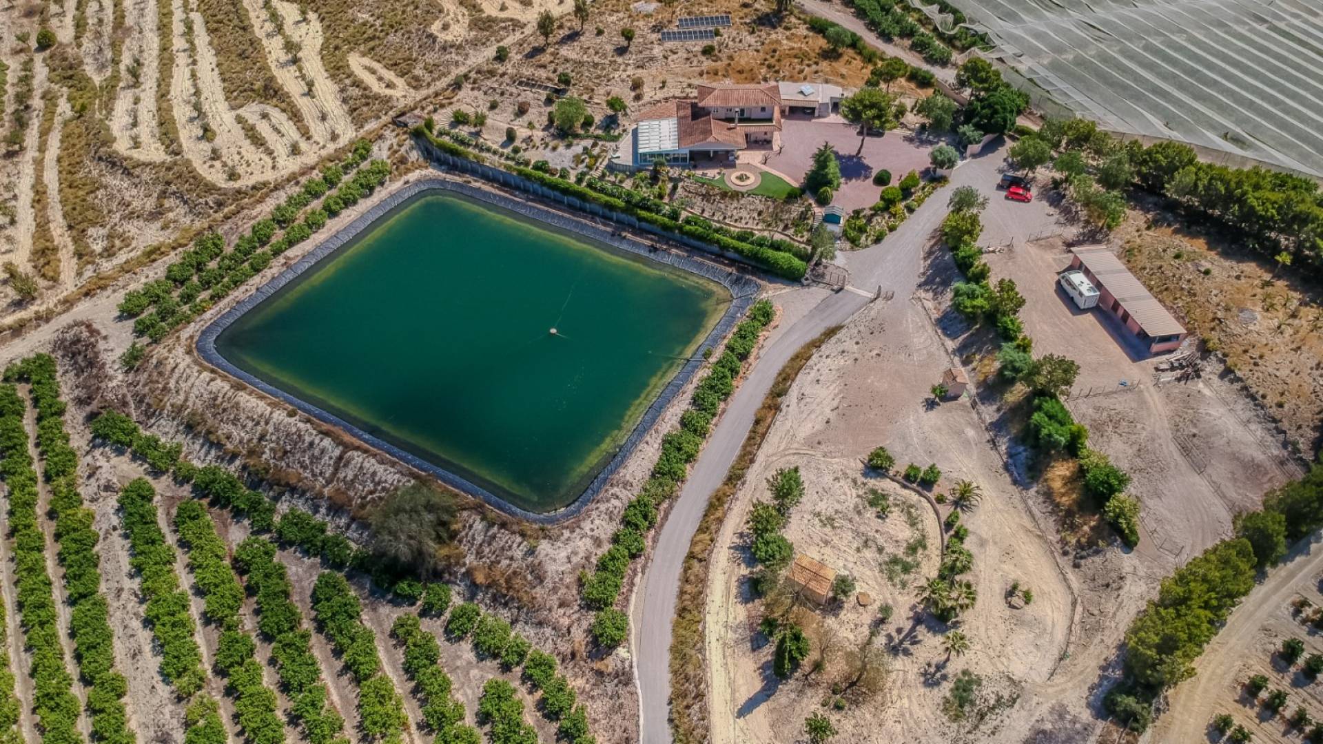 Tweedehands - Finca Landgoed - San Miguel de Salinas - Torremendo