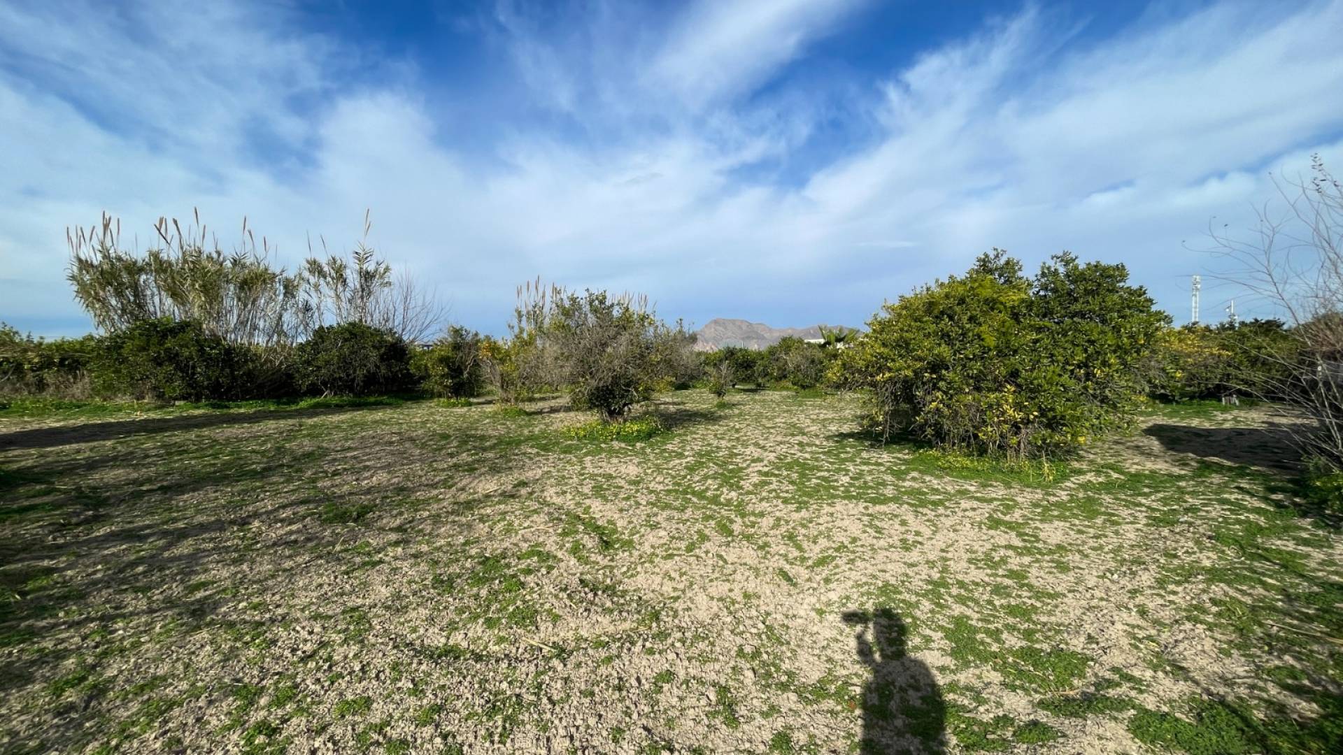 Tweedehands - Onafhankelijke villa - Benejuzar - Comunidad Valenciana
