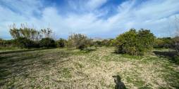 Tweedehands - Onafhankelijke villa - Benejuzar - Comunidad Valenciana