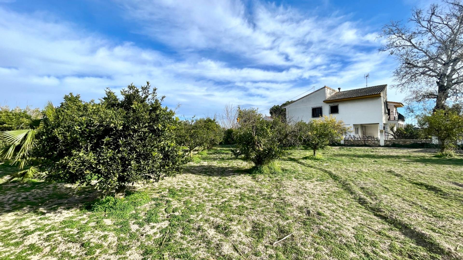 Tweedehands - Onafhankelijke villa - Benejuzar - Comunidad Valenciana