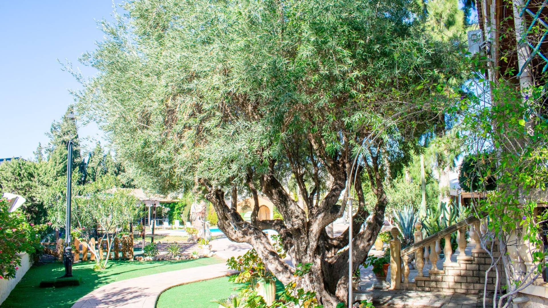 Tweedehands - Onafhankelijke villa - Crevillente