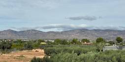 Tweedehands - Onafhankelijke villa - Crevillente
