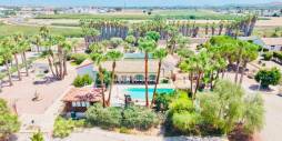Tweedehands - Onafhankelijke villa - Daya Vieja