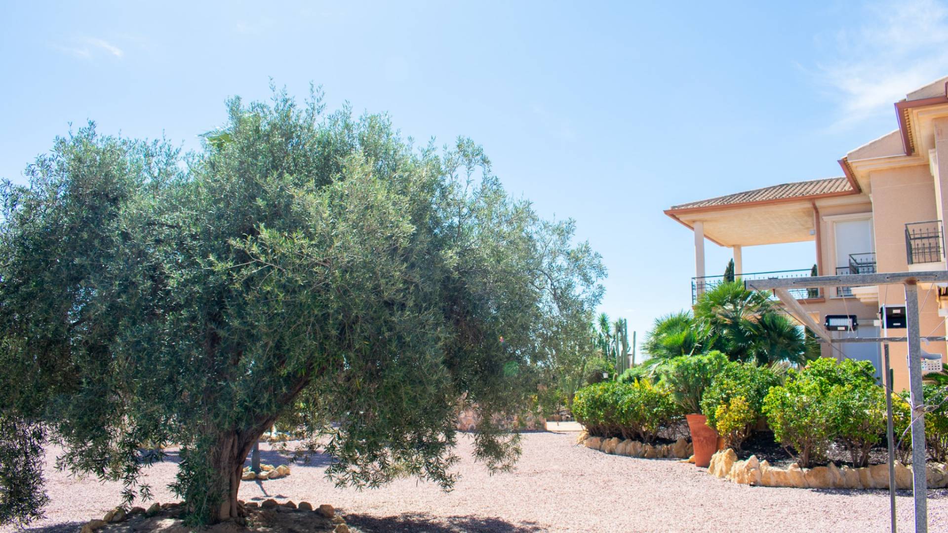 Tweedehands - Onafhankelijke villa - Elche - LA MARINA