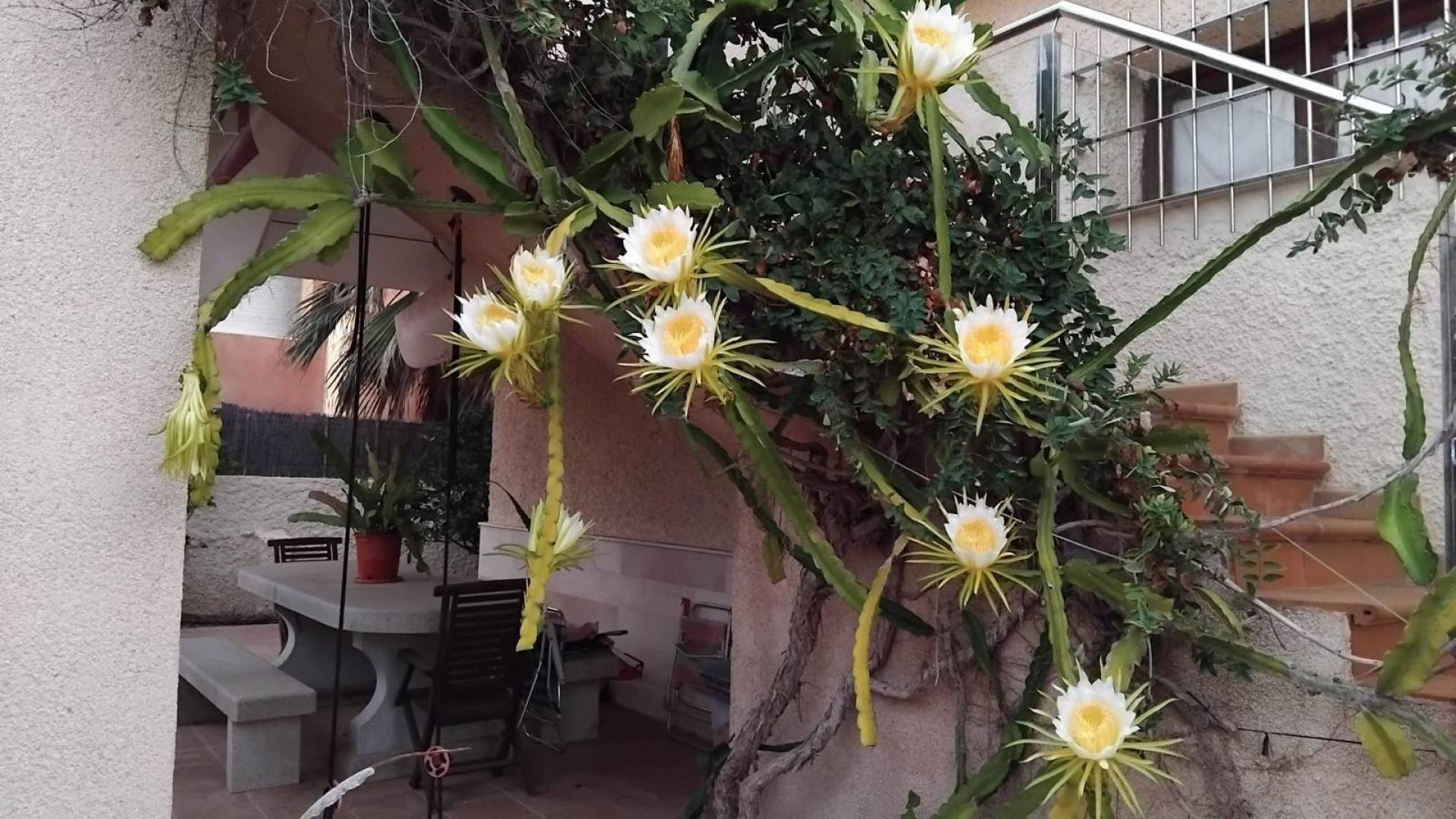 Tweedehands - Onafhankelijke villa - La Manga del Mar Menor - Playa de las Gaviotas-El Pedrucho