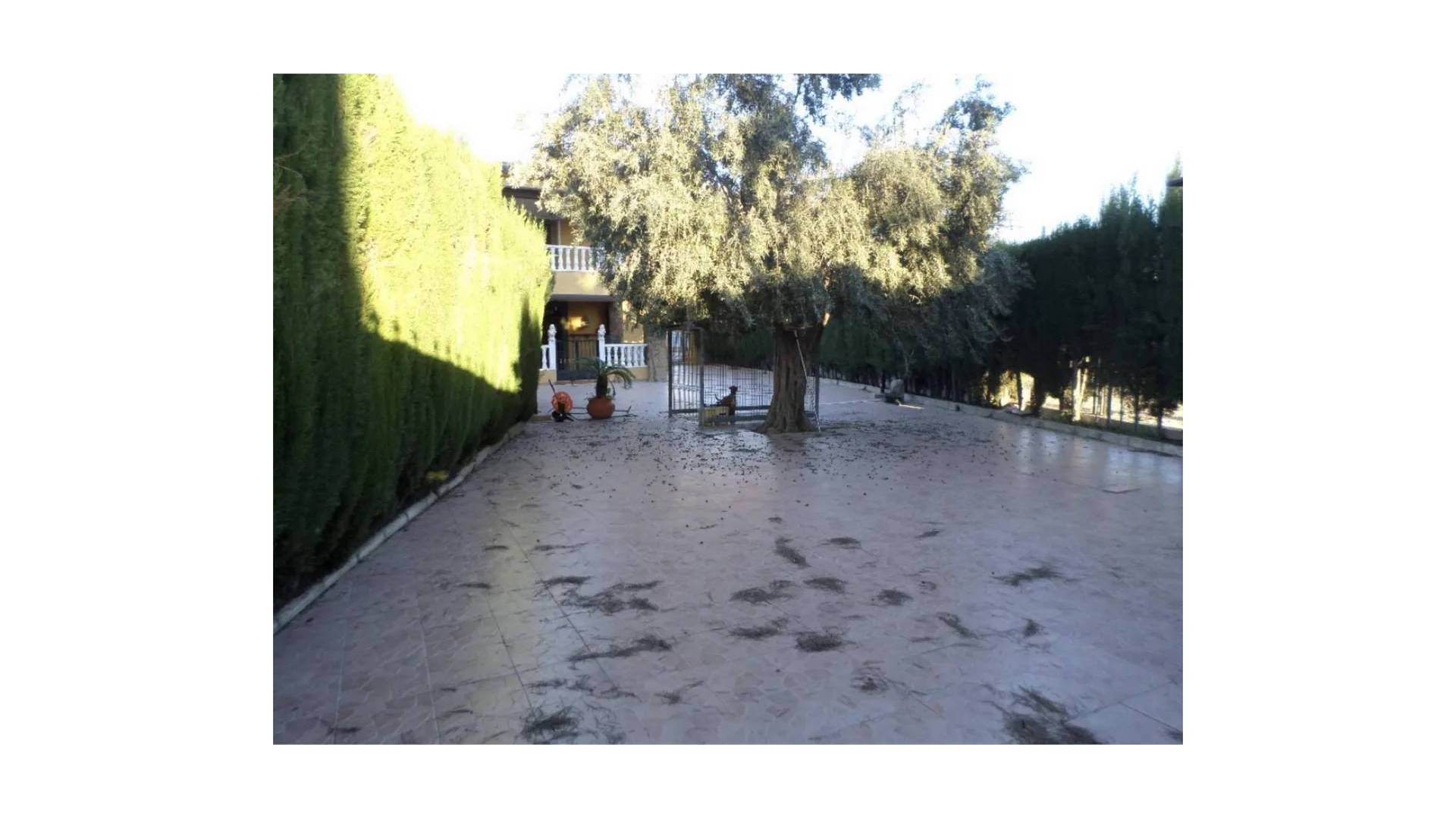 Tweedehands - Onafhankelijke villa - Orihuela - CAMPO