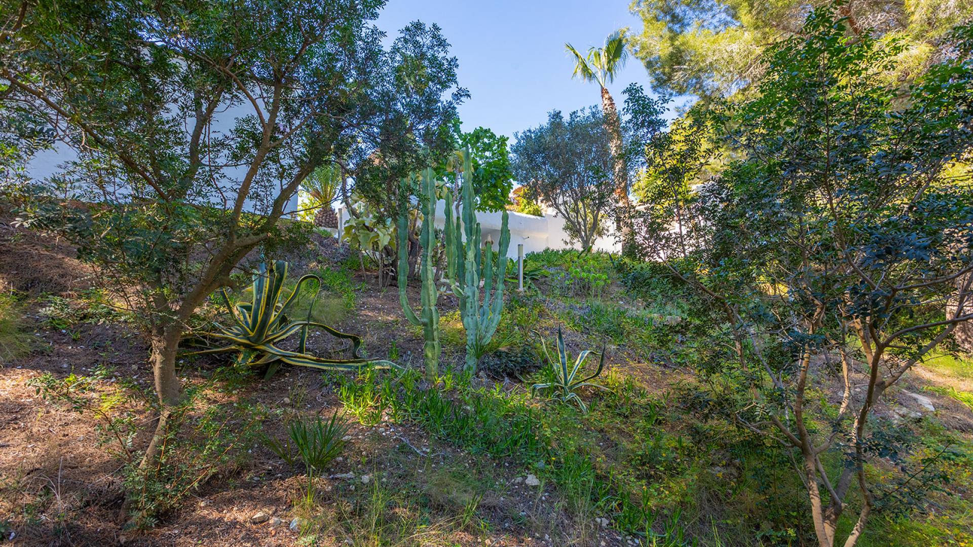 Tweedehands - Onafhankelijke villa - Orihuela - Orihuela Costa