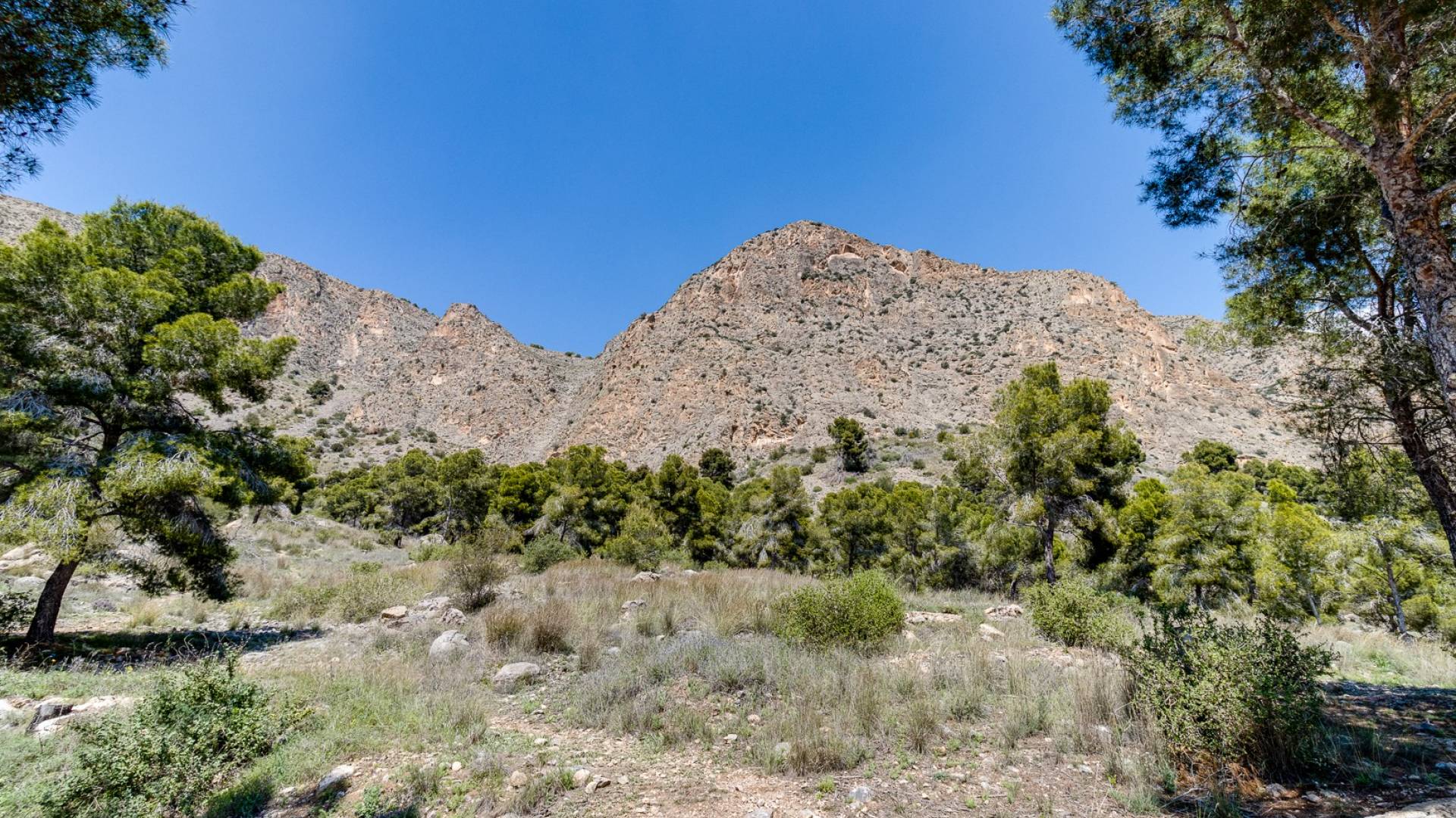 Tweedehands - Onafhankelijke villa - Orihuela