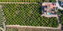 Tweedehands - Onafhankelijke villa - Orihuela
