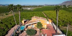 Tweedehands - Onafhankelijke villa - Orihuela
