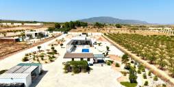 Tweedehands - Onafhankelijke villa - Pinoso