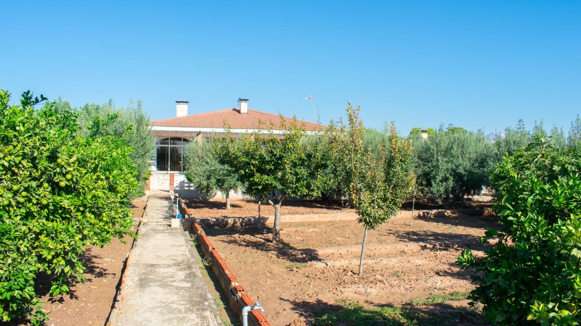 Tweedehands - Onafhankelijke villa - San Vicente del Raspeig