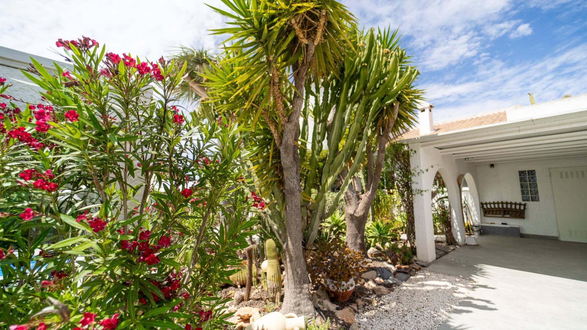 Tweedehands - Onafhankelijke villa - Torrevieja - La Siesta - El Salado - Torreta