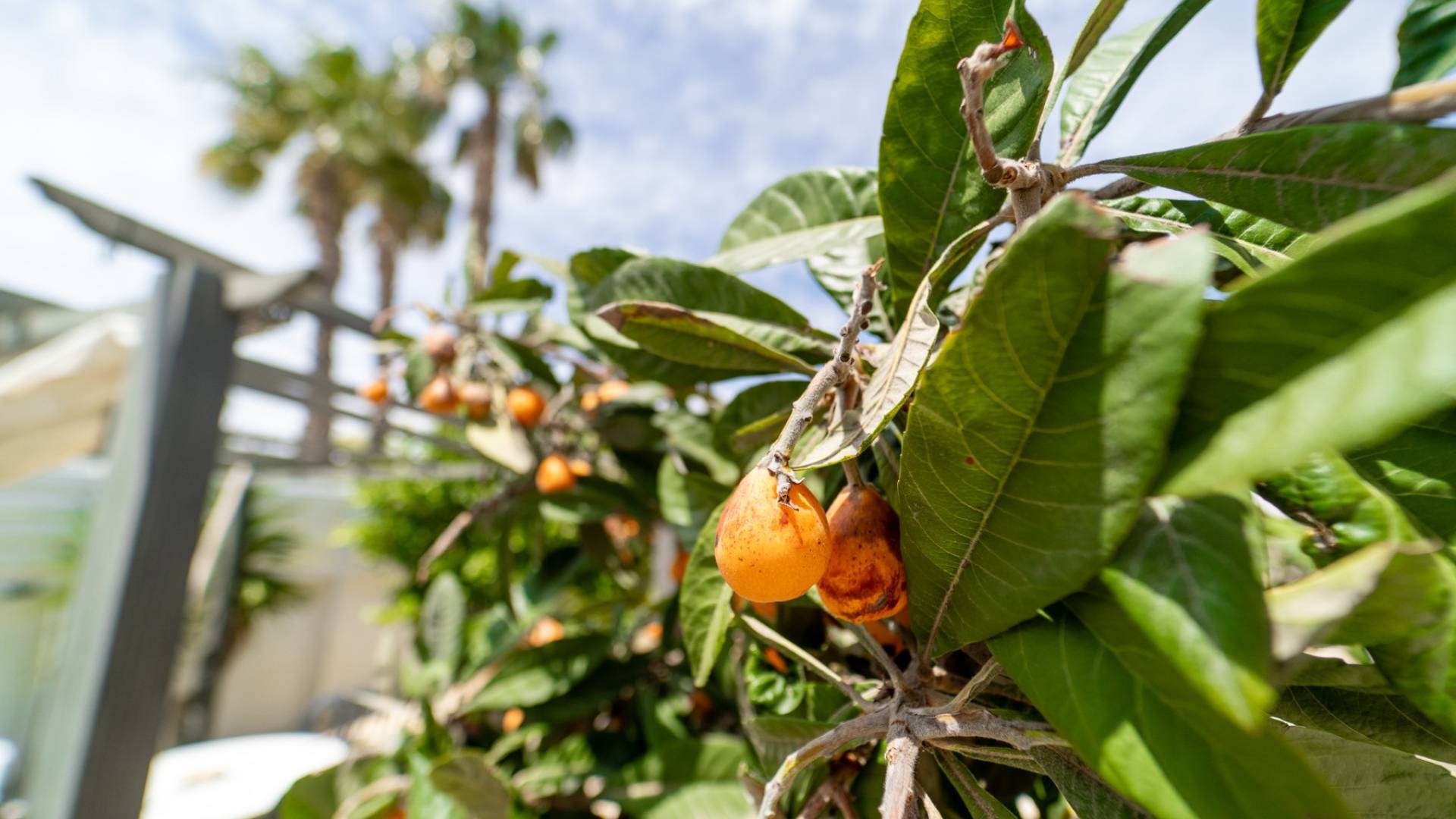 Tweedehands - Onafhankelijke villa - Torrevieja - La Siesta - El Salado - Torreta