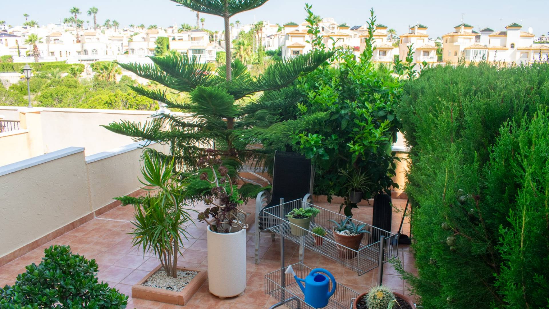 Tweedehands - - - Orihuela - Los Dolses