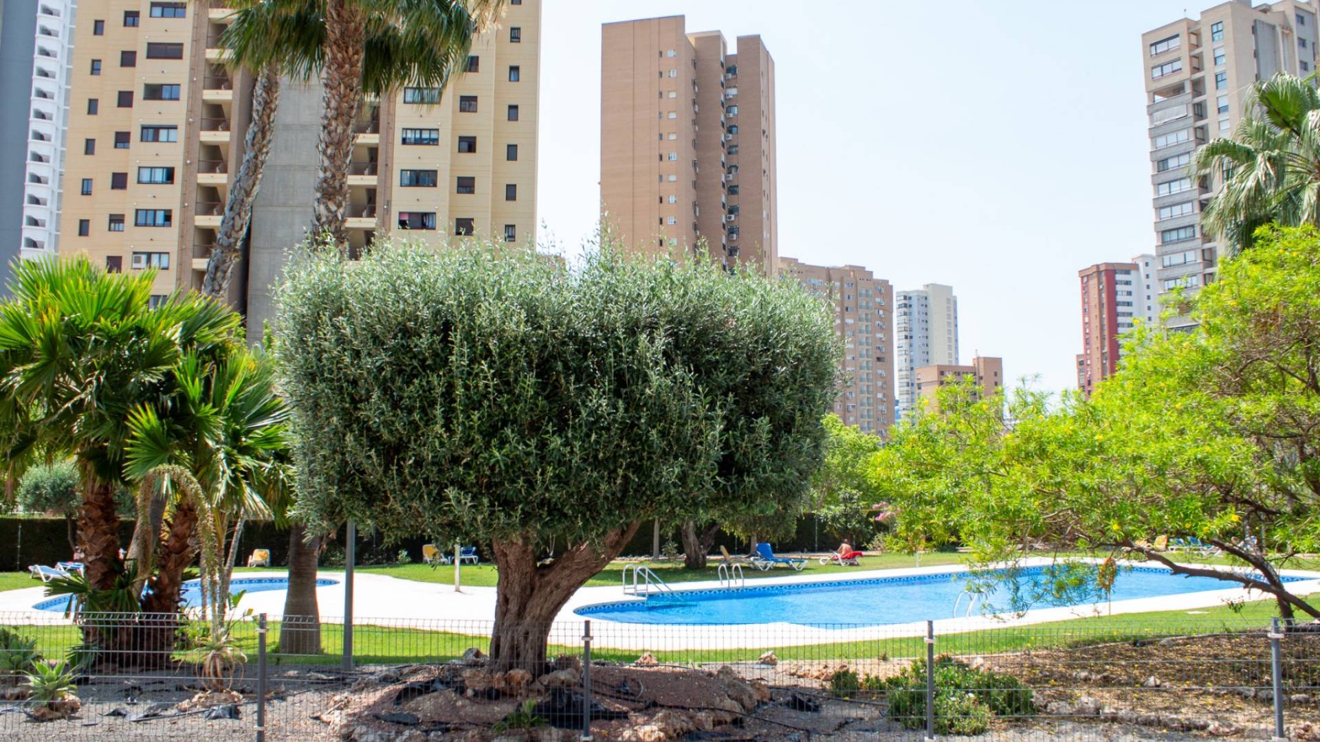 Tweedehands - Penthouse - Benidorm