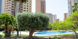 Tweedehands - Penthouse - Benidorm
