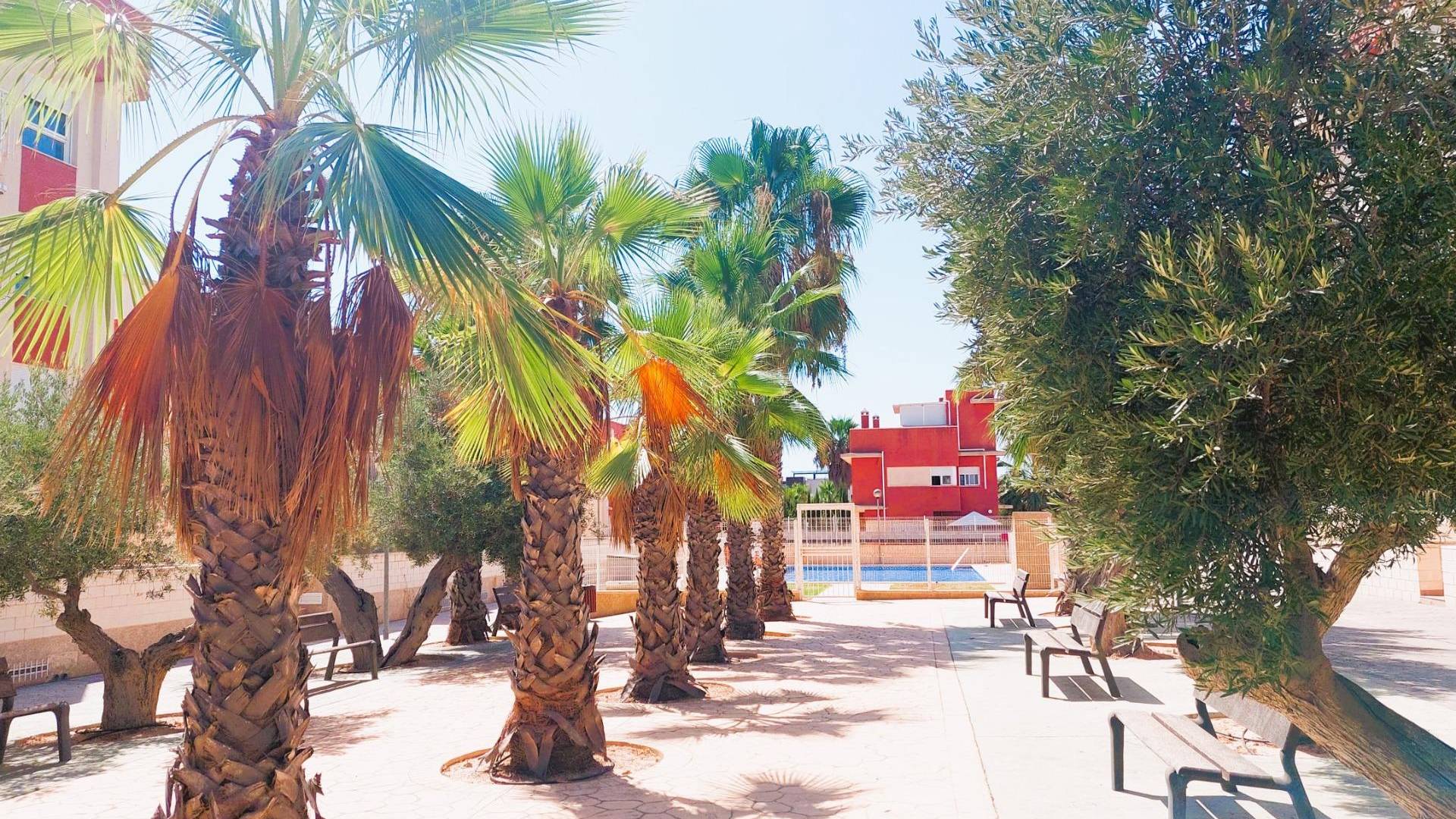 Tweedehands - Penthouse - Orihuela Costa - Lomas de Cabo Roig