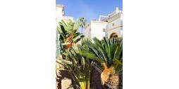 Tweedehands - Penthouse - Torrevieja - Torrelamata - La Mata