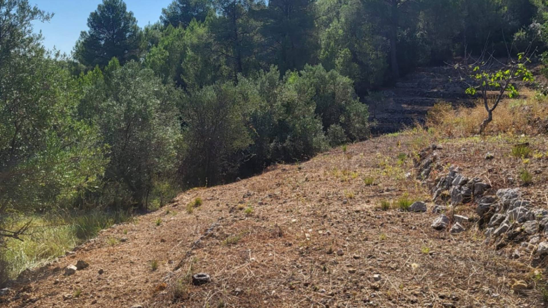 Tweedehands - Plot - Parcent - Partida Durmais