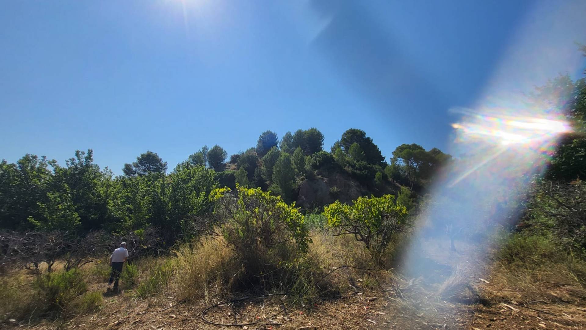 Tweedehands - Plot - Parcent - Partida Durmais