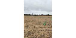 Tweedehands - Plot - Villena - Cabanes Y Las Fuentes