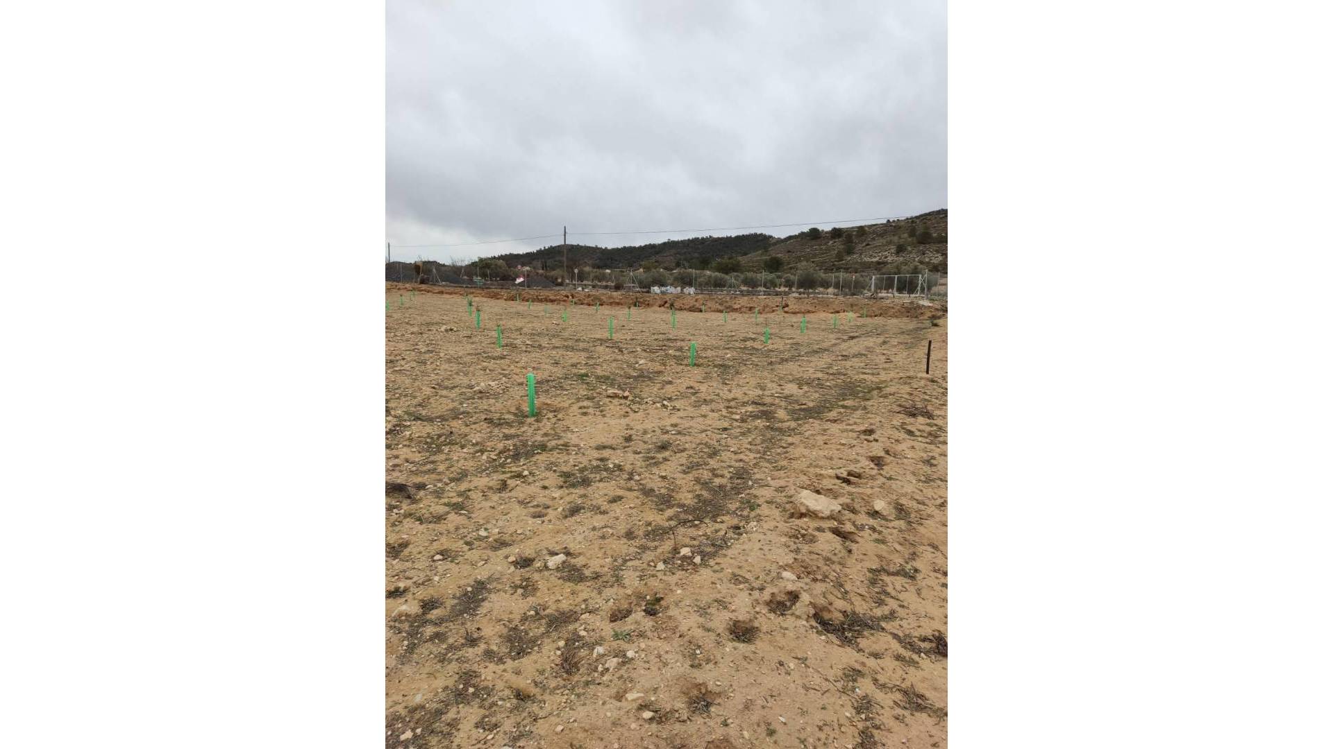 Tweedehands - Plot - Villena - Cabanes Y Las Fuentes
