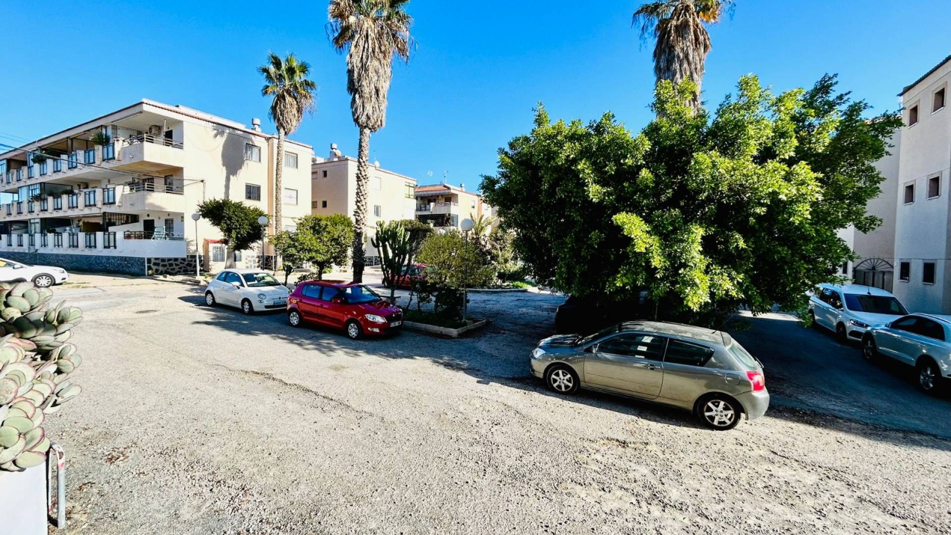 Tweedehands - Studio-appartement - Torrevieja - El chaparral