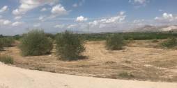 Tweedehands - Terreno - Benferri - HUERTA PUEBLO