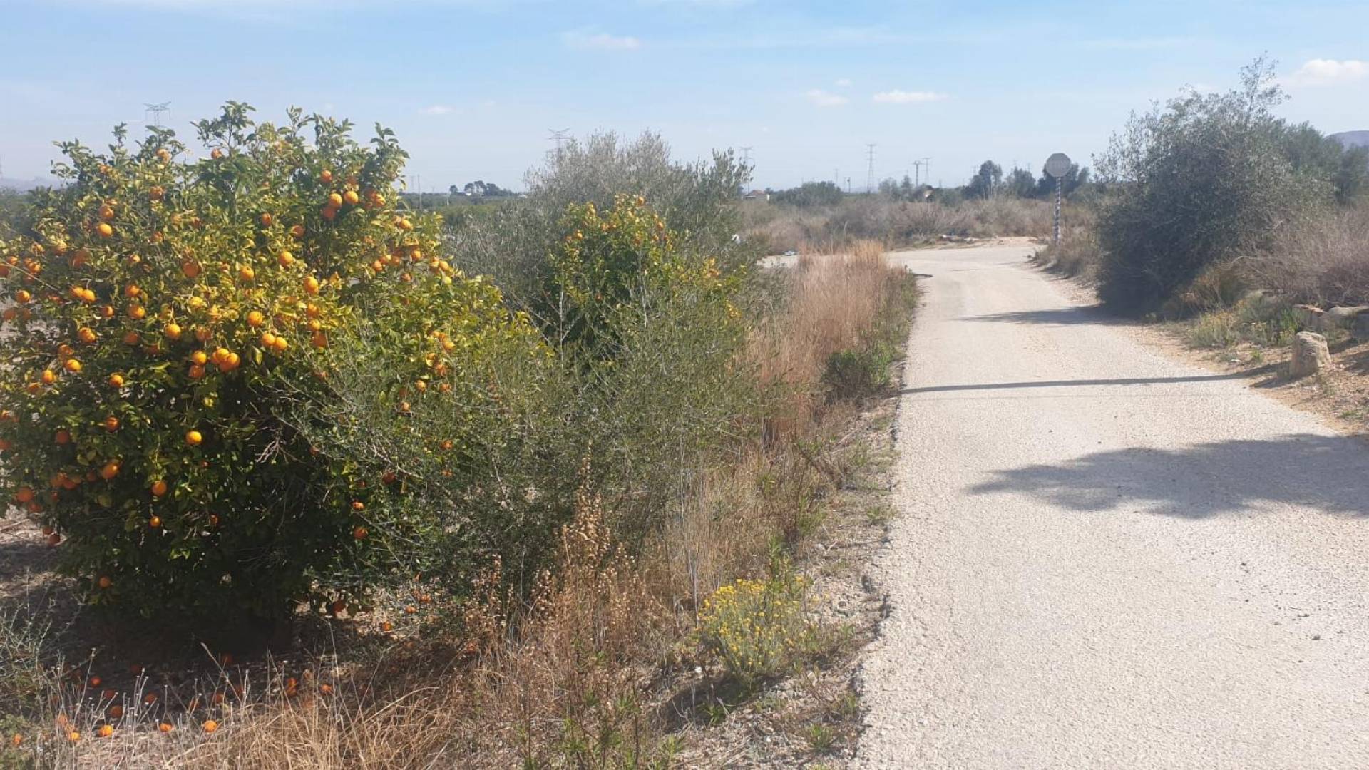 Tweedehands - Terreno - Benferri - HUERTA PUEBLO