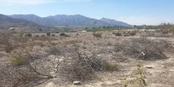 Tweedehands - Terreno - Benferri - HUERTA PUEBLO