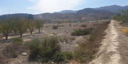 Tweedehands - Terreno - Benferri - HUERTA PUEBLO