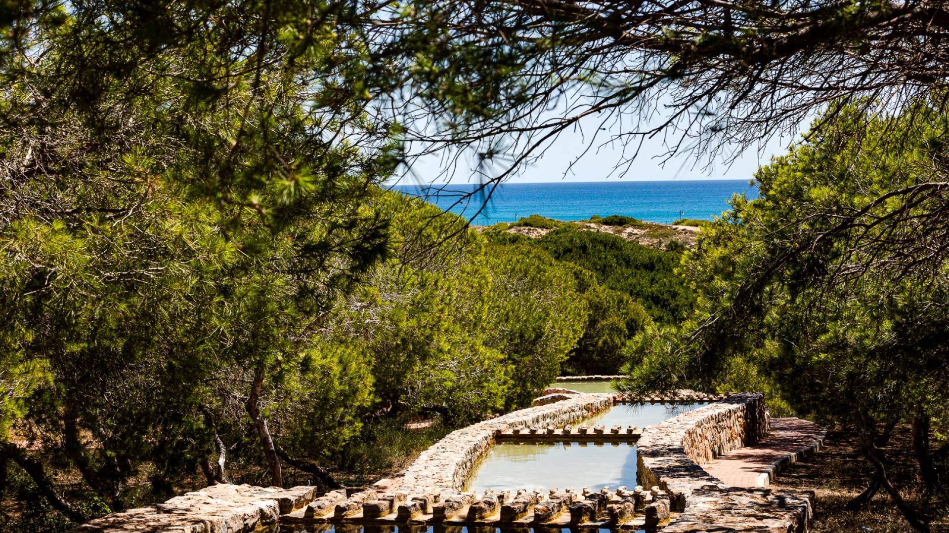 Tweedehands - Villa - Vrijstaand - Torrevieja - La Mata