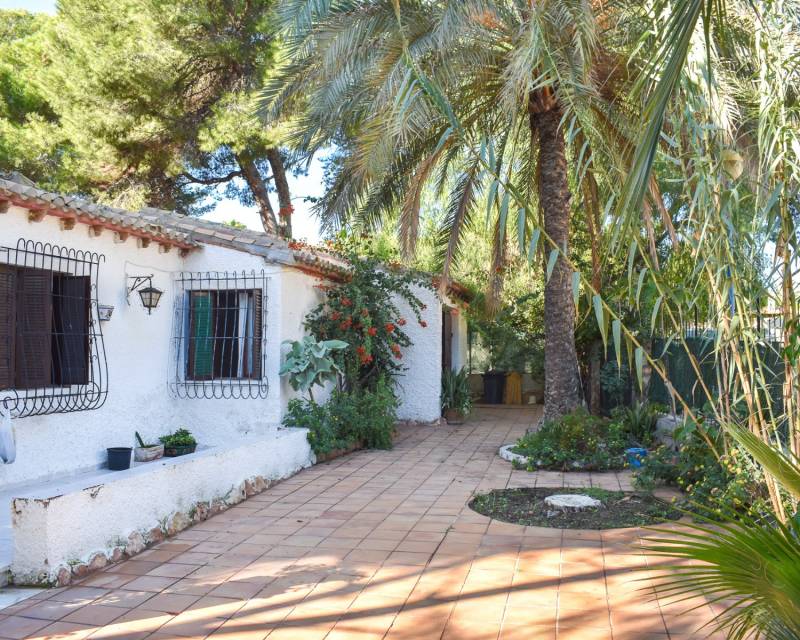 Unabhängige Villa · Gebraucht · Orihuela Costa · Punta Prima
